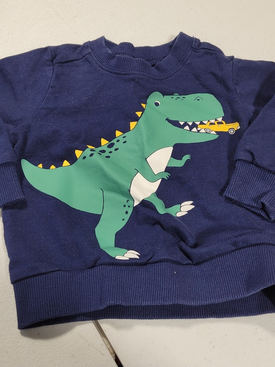 Carter's Other - Carter's Navy Crewneck with Green Dinosaur Graphic